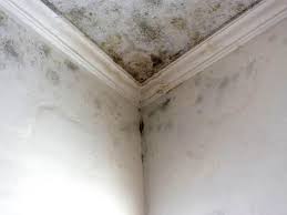 Best Residential Mold Inspection & Testing  in USA